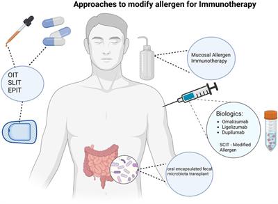 Update on clinical research for food allergy treatment